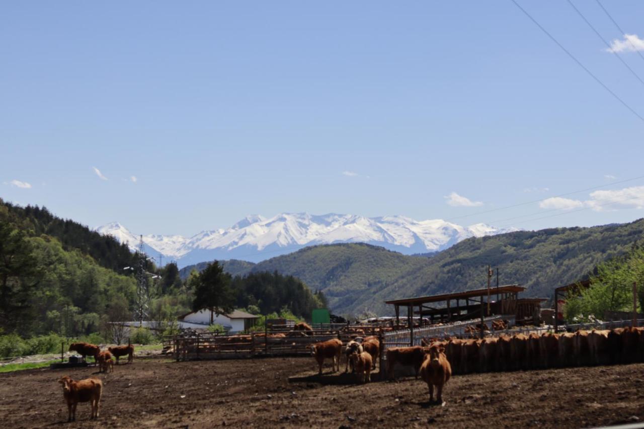 Pirin Place บันสโก ภายนอก รูปภาพ