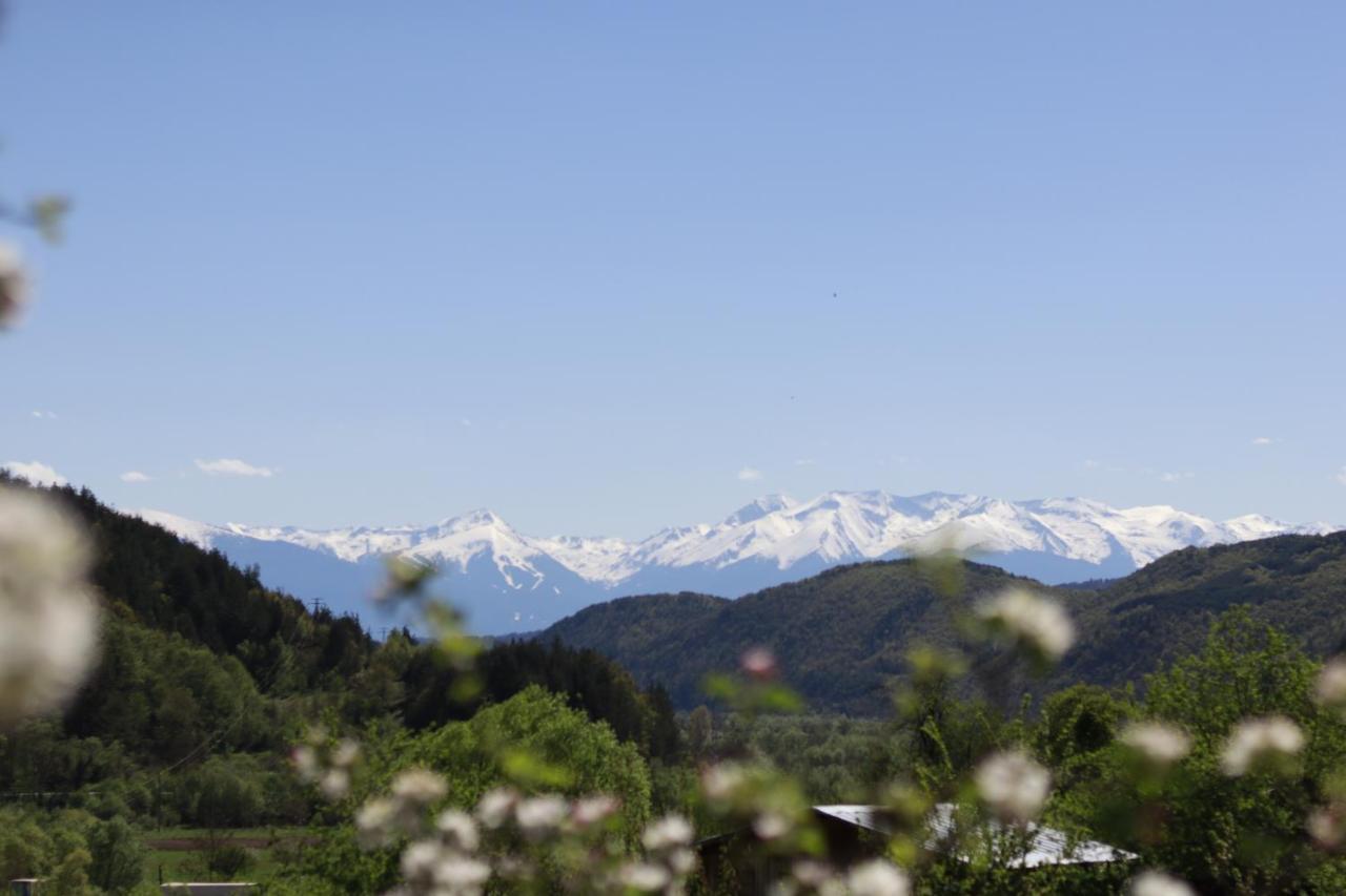 Pirin Place บันสโก ภายนอก รูปภาพ