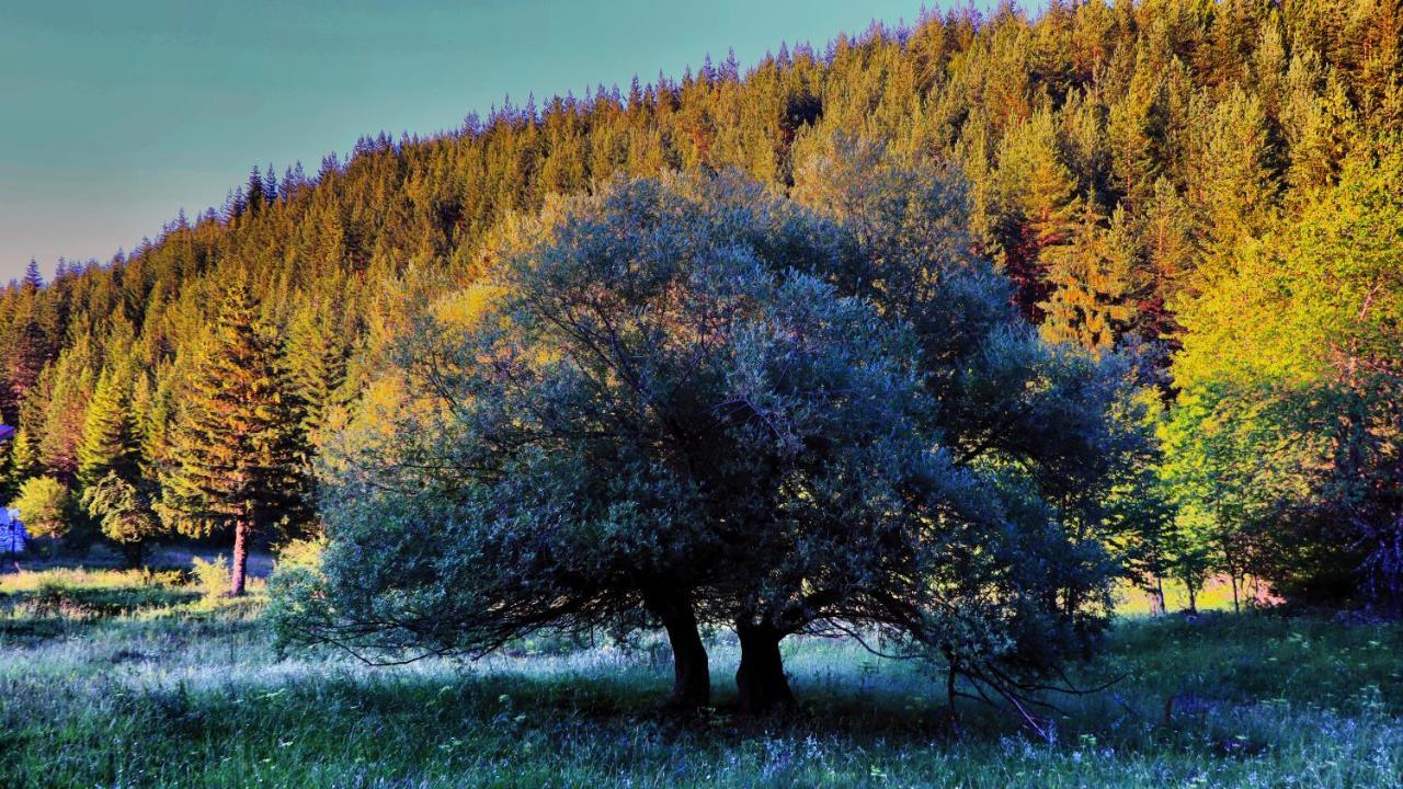 Pirin Place บันสโก ภายนอก รูปภาพ